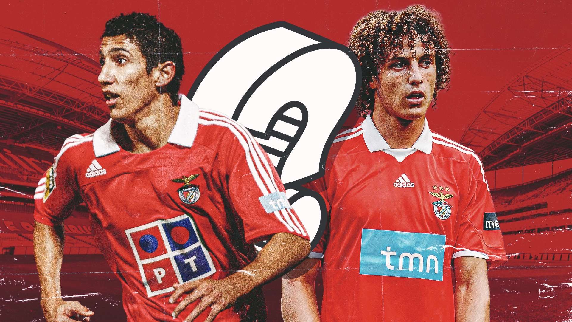 维拉不仅是 维拉不仅是